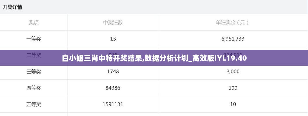 白小姐三肖中特开奖结果,数据分析计划_高效版IYL19.40