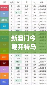 新澳门今晚开特马开奖2024年11月,精细评估方案_未来版ULI19.77