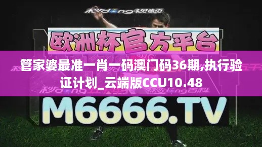 管家婆最准一肖一码澳门码36期,执行验证计划_云端版CCU10.48