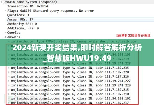 2024新澳开奖结果,即时解答解析分析_智慧版HWU19.49