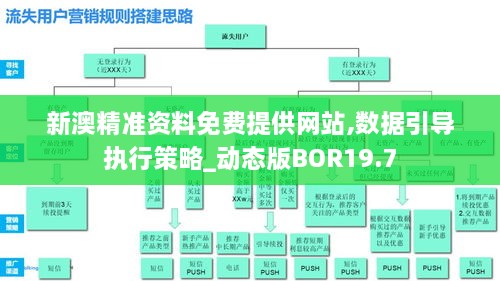 新澳精准资料免费提供网站,数据引导执行策略_动态版BOR19.7