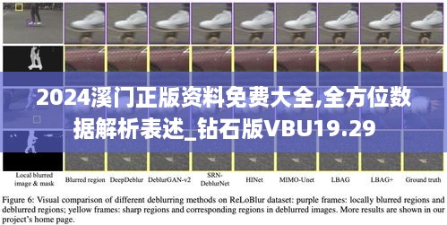 2024溪门正版资料免费大全,全方位数据解析表述_钻石版VBU19.29