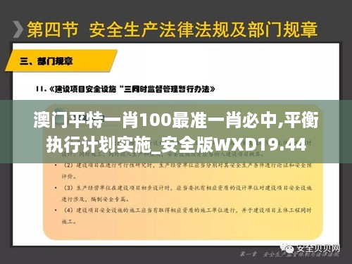 澳门平特一肖100最准一肖必中,平衡执行计划实施_安全版WXD19.44