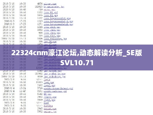 22324cnm濠江论坛,动态解读分析_SE版SVL10.71