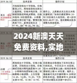 2024新澳天天免费资料,实地验证研究方案_优雅版GKK19.23