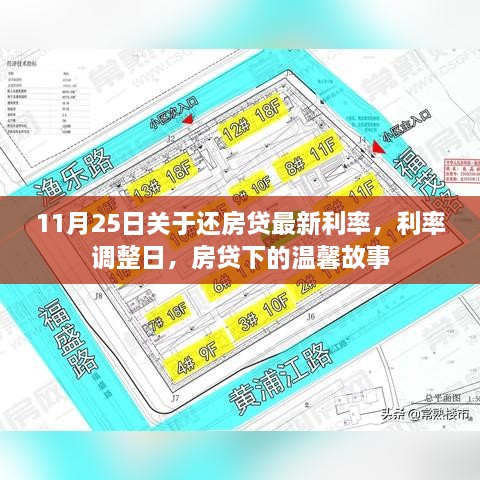 11月25日最新房贷利率调整，利率变动背后的温馨故事