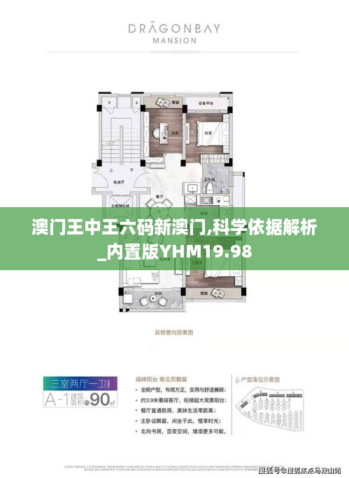 澳门王中王六码新澳门,科学依据解析_内置版YHM19.98