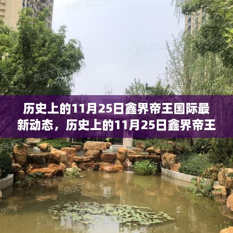 历史上的11月25日，鑫界帝王国际最新动态揭秘与值得铭记的瞬间回顾