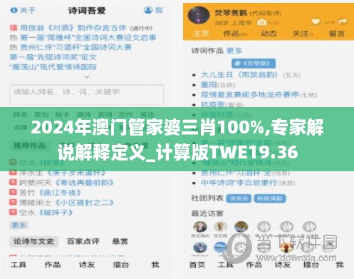 2024年澳门管家婆三肖100%,专家解说解释定义_计算版TWE19.36