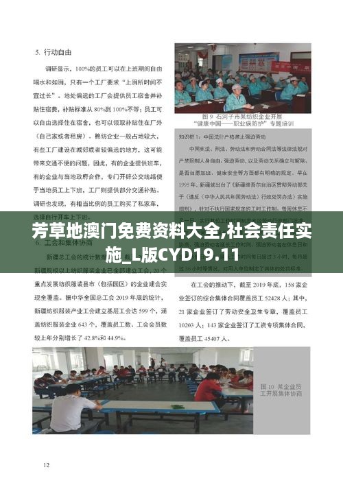 芳草地澳门免费资料大全,社会责任实施_L版CYD19.11