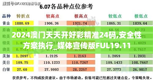 2024澳门天天开好彩精准24码,安全性方案执行_媒体宣传版FUL19.11