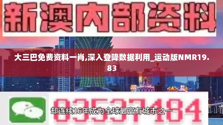 大三巴免费资料一肖,深入登降数据利用_运动版NMR19.83