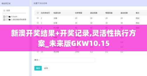 新澳开奖结果+开奖记录,灵活性执行方案_未来版GKW10.15