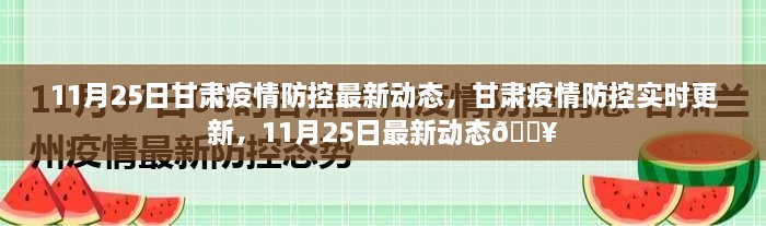 甘肃疫情防控最新动态，实时更新，聚焦11月25日最新进展