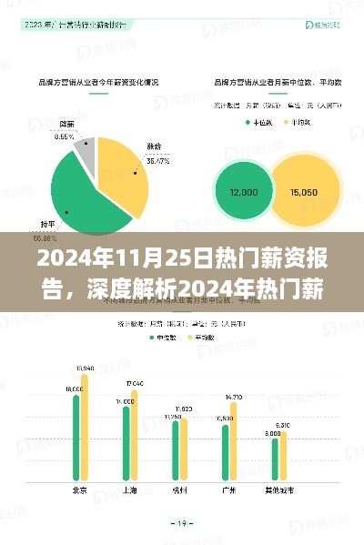 深度解析2024年热门薪资报告，特性、体验、竞品对比及用户群体全面分析