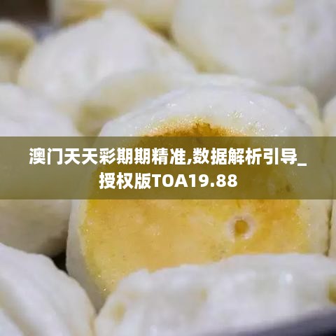 澳门天天彩期期精准,数据解析引导_授权版TOA19.88