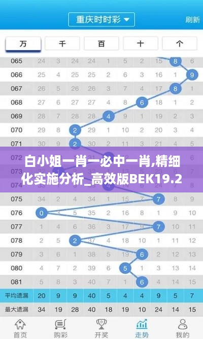 白小姐一肖一必中一肖,精细化实施分析_高效版BEK19.27