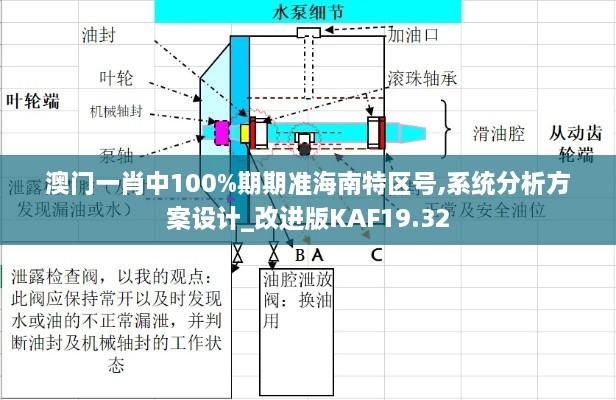 澳门一肖中100%期期准海南特区号,系统分析方案设计_改进版KAF19.32