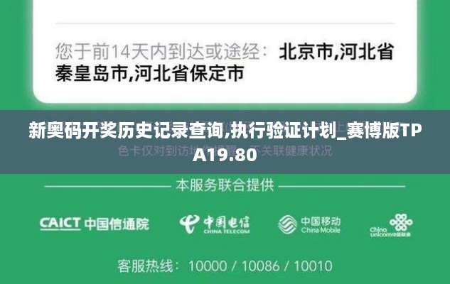 新奥码开奖历史记录查询,执行验证计划_赛博版TPA19.80