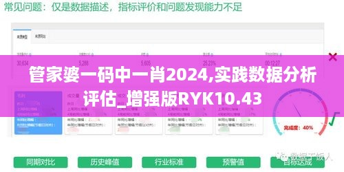 管家婆一码中一肖2024,实践数据分析评估_增强版RYK10.43