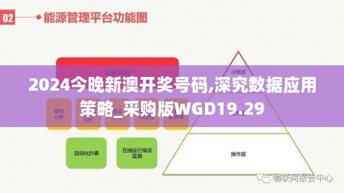 2024今晚新澳开奖号码,深究数据应用策略_采购版WGD19.29