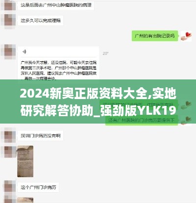 2024新奥正版资料大全,实地研究解答协助_强劲版YLK19.45