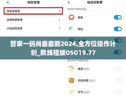 管家一码肖最最新2024,全方位操作计划_数线程版OSO19.77