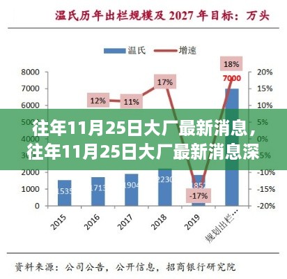 往年11月25日大厂最新消息深度解析与聚焦焦点