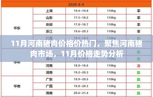 河南猪肉市场热议，11月价格走势分析与市场聚焦