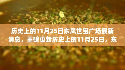 历史上的11月25日，东凤世宝广场最新动态揭秘，小红书独家更新