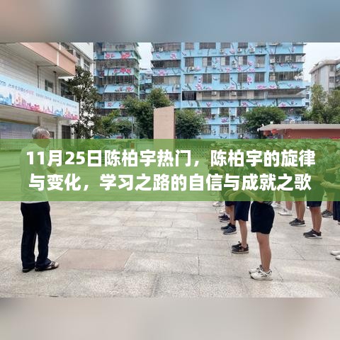 11月25日陈柏宇热门，陈柏宇的旋律与变化，学习之路的自信与成就之歌