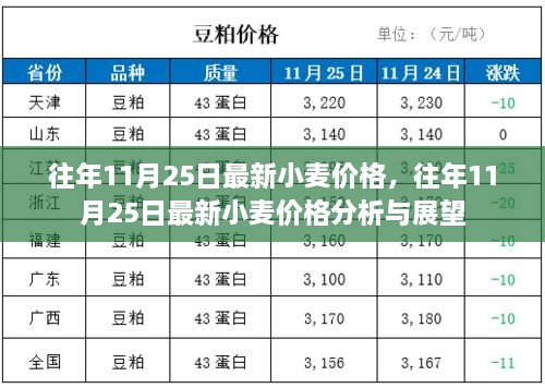 往年11月25日小麦价格回顾与未来展望，最新分析与展望趋势揭秘！