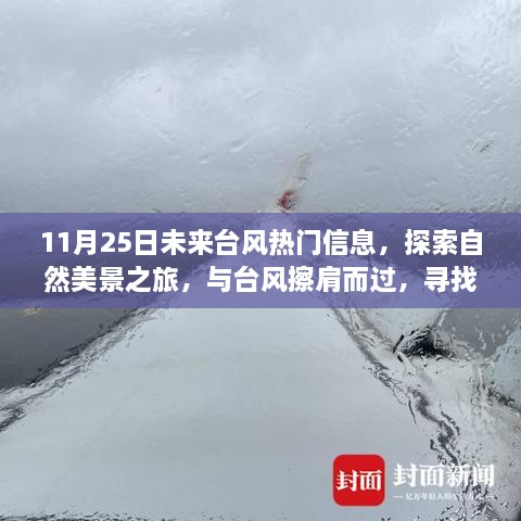 11月25日台风信息探索，与自然美景同行，寻找宁静港湾的冒险之旅