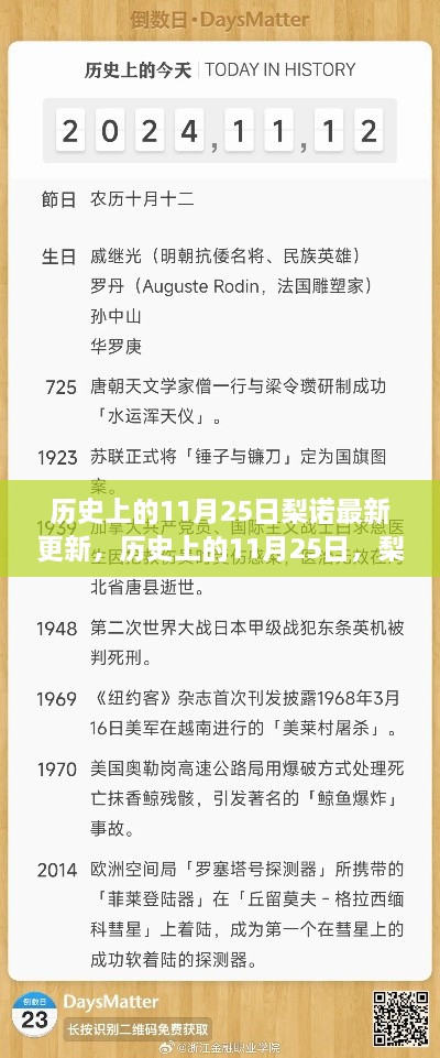 梨诺更新揭秘，多维度解析历史上的11月25日最新动态与观点探讨