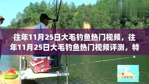 往年11月25日大毛钓鱼热门视频全解析，特性、体验、对比及用户群体深度分析