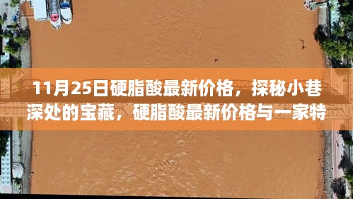 硬脂酸最新价格揭秘，小巷深处的宝藏与特色小店的奇妙邂逅