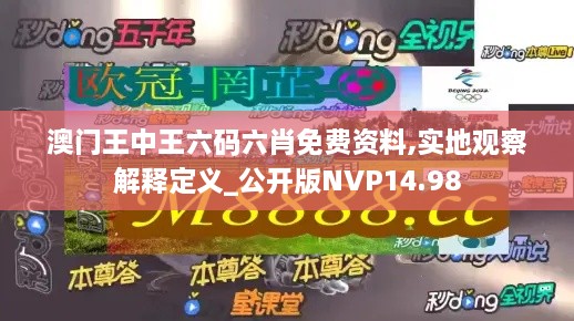 澳门王中王六码六肖免费资料,实地观察解释定义_公开版NVP14.98