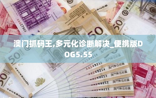 澳门抓码王,多元化诊断解决_便携版DOG5.55