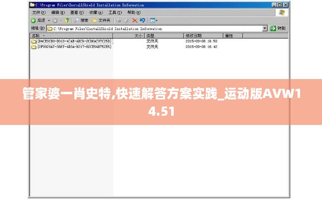 管家婆一肖史特,快速解答方案实践_运动版AVW14.51