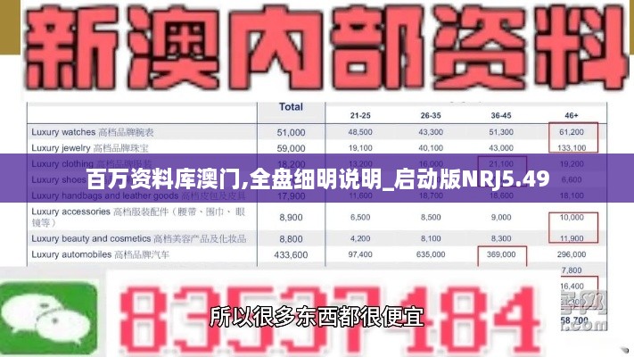 百万资料库澳门,全盘细明说明_启动版NRJ5.49