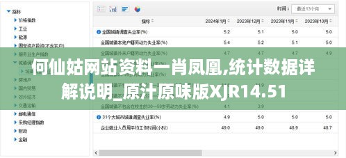 何仙姑网站资料一肖凤凰,统计数据详解说明_原汁原味版XJR14.51