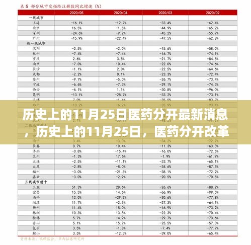 历史上的11月25日医药分开改革进展，最新消息与小红书分享