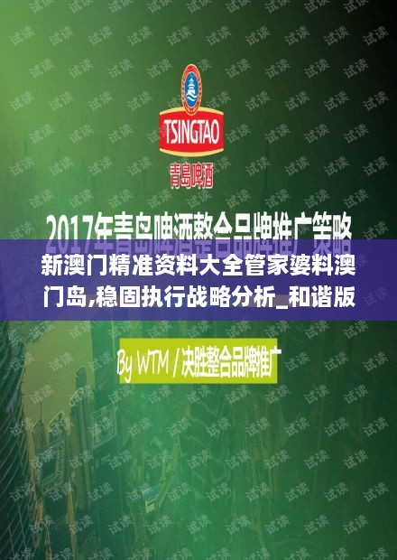 新澳门精准资料大全管家婆料澳门岛,稳固执行战略分析_和谐版JPW5.54