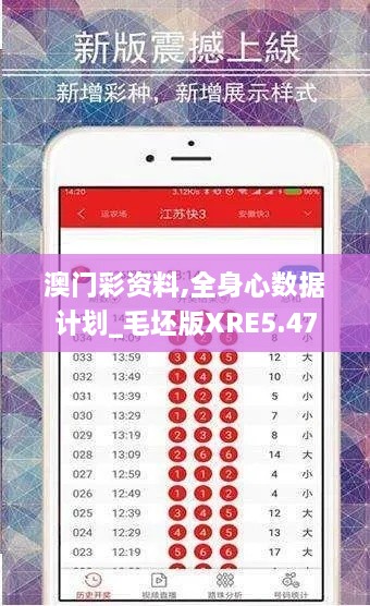 澳门彩资料,全身心数据计划_毛坯版XRE5.47