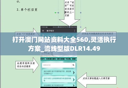 打开澳门网站资料大全560,灵活执行方案_流线型版DLR14.49