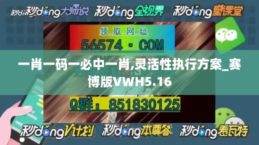 一肖一码一必中一肖,灵活性执行方案_赛博版VWH5.16