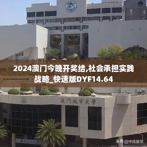 2024澳门今晚开奖结,社会承担实践战略_快速版DYF14.64