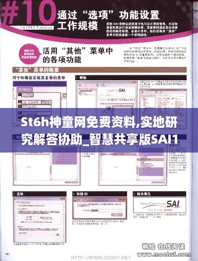 St6h神童网免费资料,实地研究解答协助_智慧共享版SAI14.76