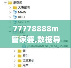 77778888m管家婆,数据导向程序解析_世界版UMO14.61