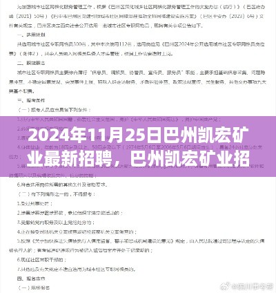 巴州凯宏矿业招聘热潮背后的深度思考，最新招聘信息发布于2024年11月25日